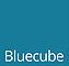 Bluecube Technology Solutions image 1